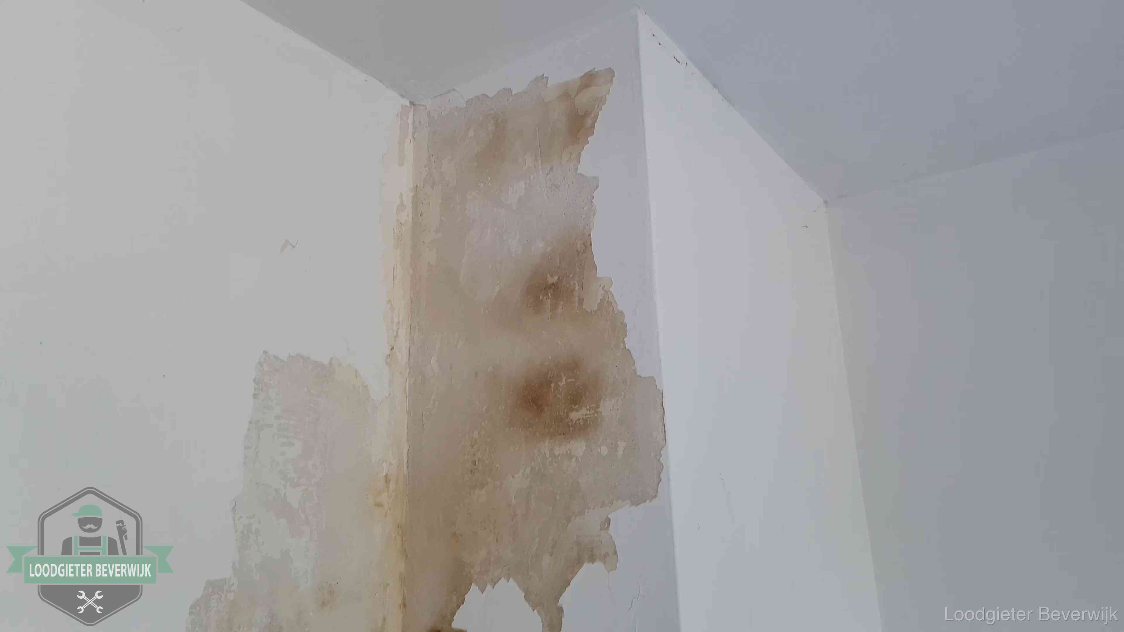 Daklekkage herkennen in Beverwijk Bruine vochtkringen en afbladderend stucwerk op een binnenmuur in Beverwijk, een eerste teken van daklekkage
