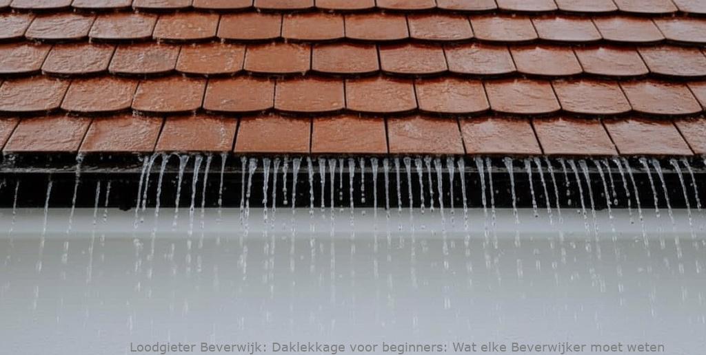 Daklekkage Voor Beginners Beverwijk