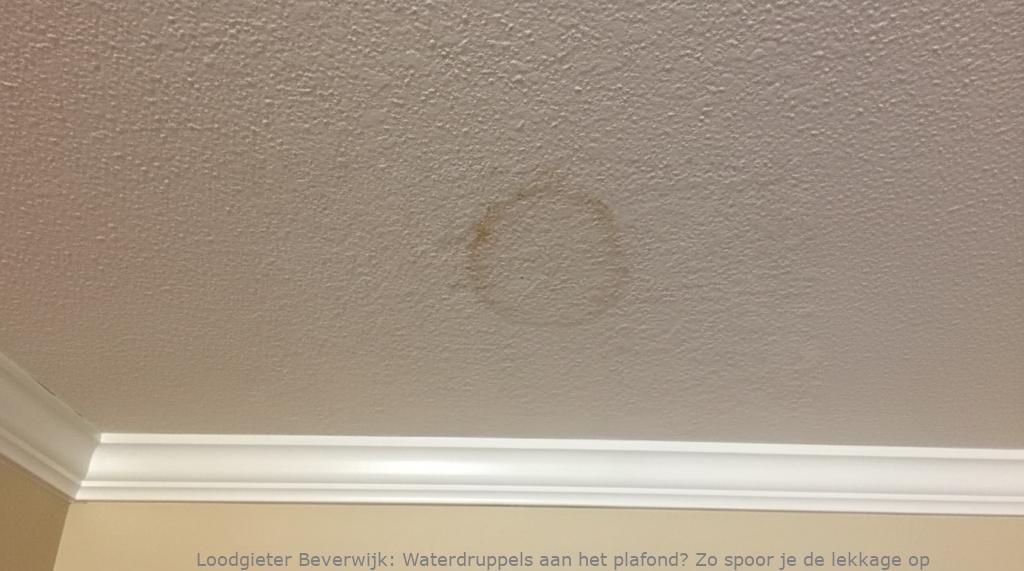 Lekkage Plafond Beverwijk