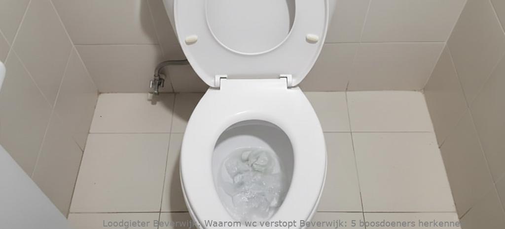 Waarom Wc Verstopt Beverwijk