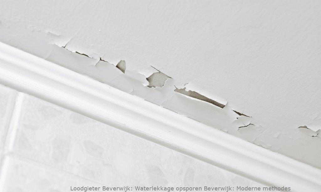 Waterlekkage Opsporen Beverwijk
